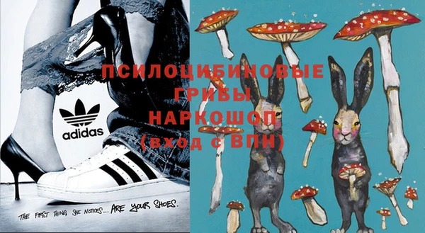 индика Наволоки