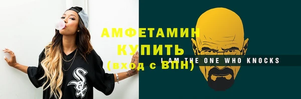 индика Наволоки