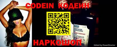 индика Пенза