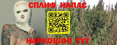 дмт Моздок