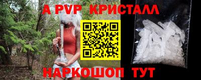 дмт Моздок