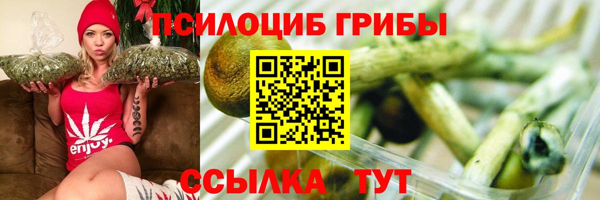 Новоуральск  дарнет шоп  Вход с VPN  Галлюциногенные грибы MAGIC MUSHROOMS 
